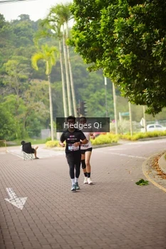 Runner Photo 3265595