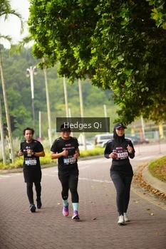 Runner Photo 3269551