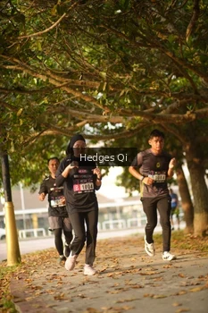 Runner Photo 3274672