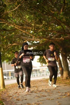 Runner Photo 3274764