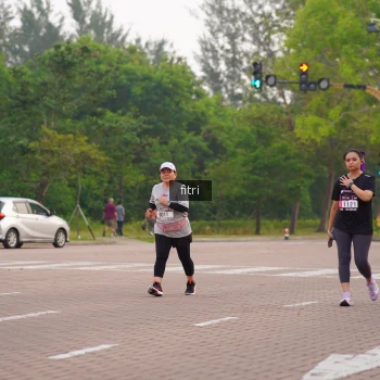 Runner Photo 3276208