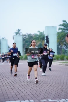 Runner Photo 3285155