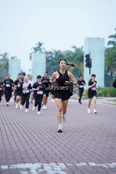 Runner Photo 3285191