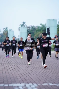 Runner Photo 3285225