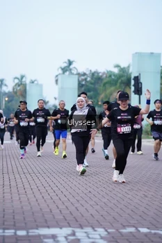 Runner Photo 3285228