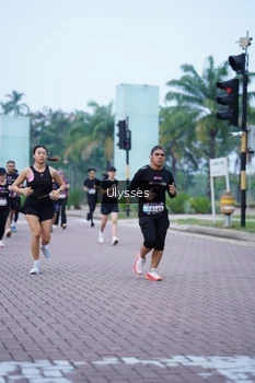 Runner Photo 3285232