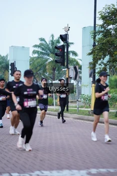 Runner Photo 3285233