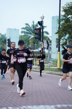 Runner Photo 3285247