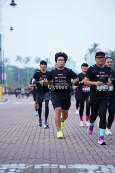 Runner Photo 3285270