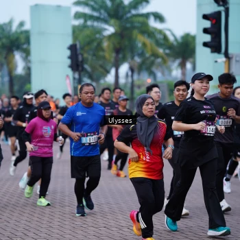 Runner Photo 3285345