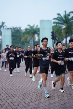 Runner Photo 3285434