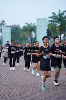 Runner Photo 3285437