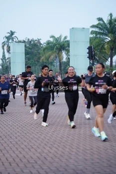 Runner Photo 3285452