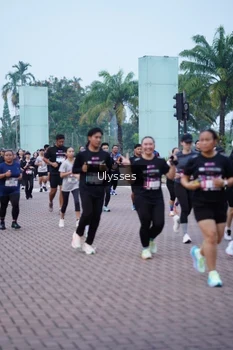 Runner Photo 3285466