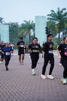 Runner Photo 3285486