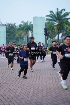 Runner Photo 3285493