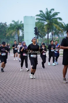 Runner Photo 3285542