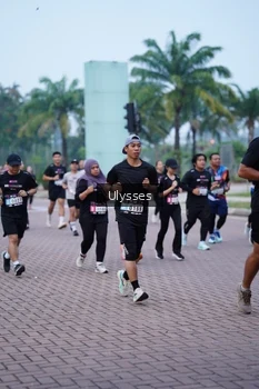 Runner Photo 3285545