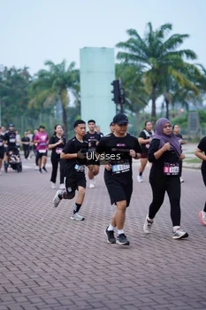 Runner Photo 3285560
