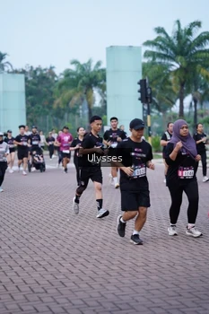 Runner Photo 3285561