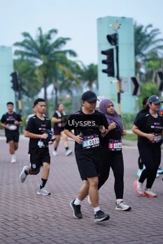 Runner Photo 3285597