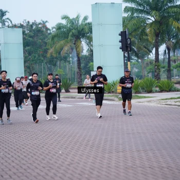 Runner Photo 3285818