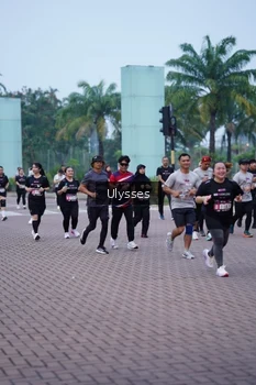 Runner Photo 3285932