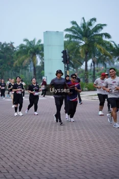 Runner Photo 3285986