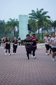 Runner Photo 3285992