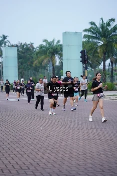 Runner Photo 3286017
