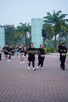 Runner Photo 3286022