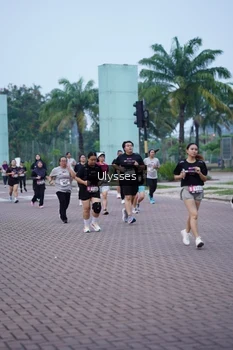 Runner Photo 3286045