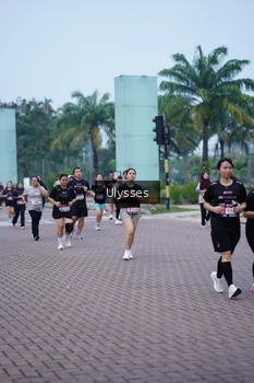 Runner Photo 3286050