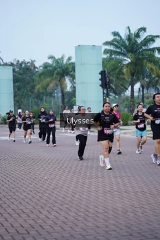 Runner Photo 3286061