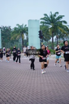 Runner Photo 3286087