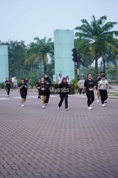 Runner Photo 3286093