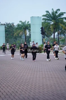 Runner Photo 3286117