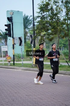 Runner Photo 3286241