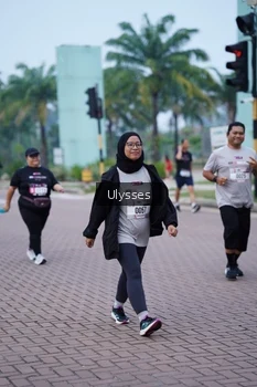 Runner Photo 3286493