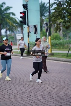 Runner Photo 3286545