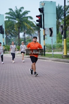 Runner Photo 3286659
