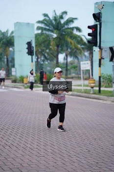 Runner Photo 3286731