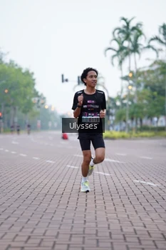 Runner Photo 3287174