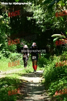 Runner Photo 329237