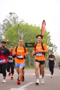 Runner Photo 3292473