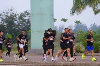Runner Photo 3296931