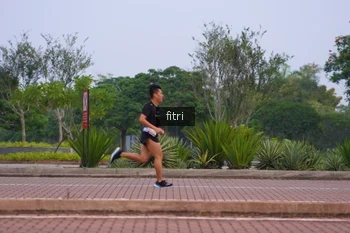 Runner Photo 3297015