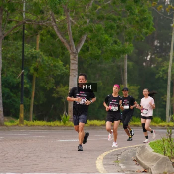 Runner Photo 3298551