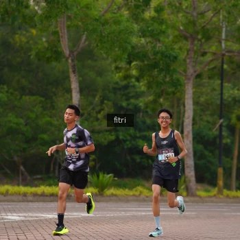 Runner Photo 3300113