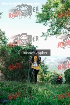 Runner Photo 330301